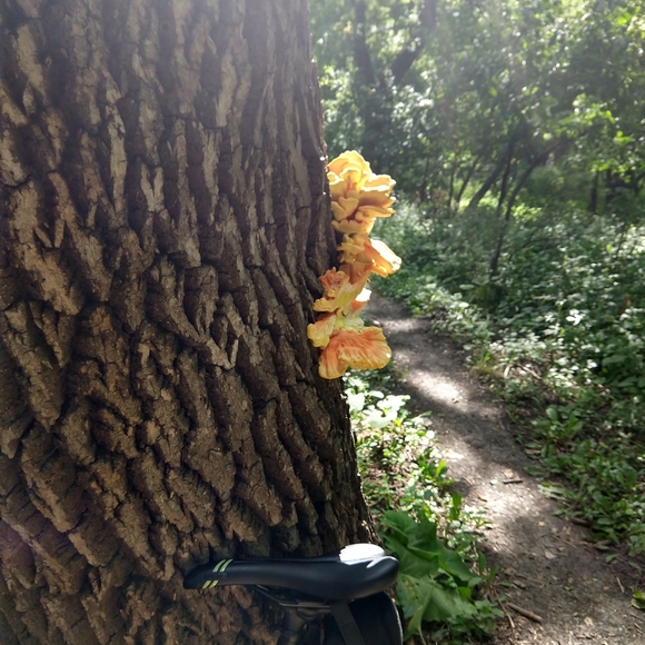 Meet your Posher, Carrie - Picture 8 of 16